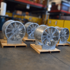 Post-LinkedIn-2025-10-16T091600.906